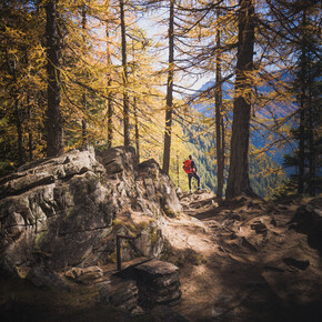 5 hooggelegen wandeltochten door de Dolomieten