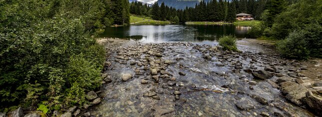 Val di Sole - Lago dei Caprioli 
