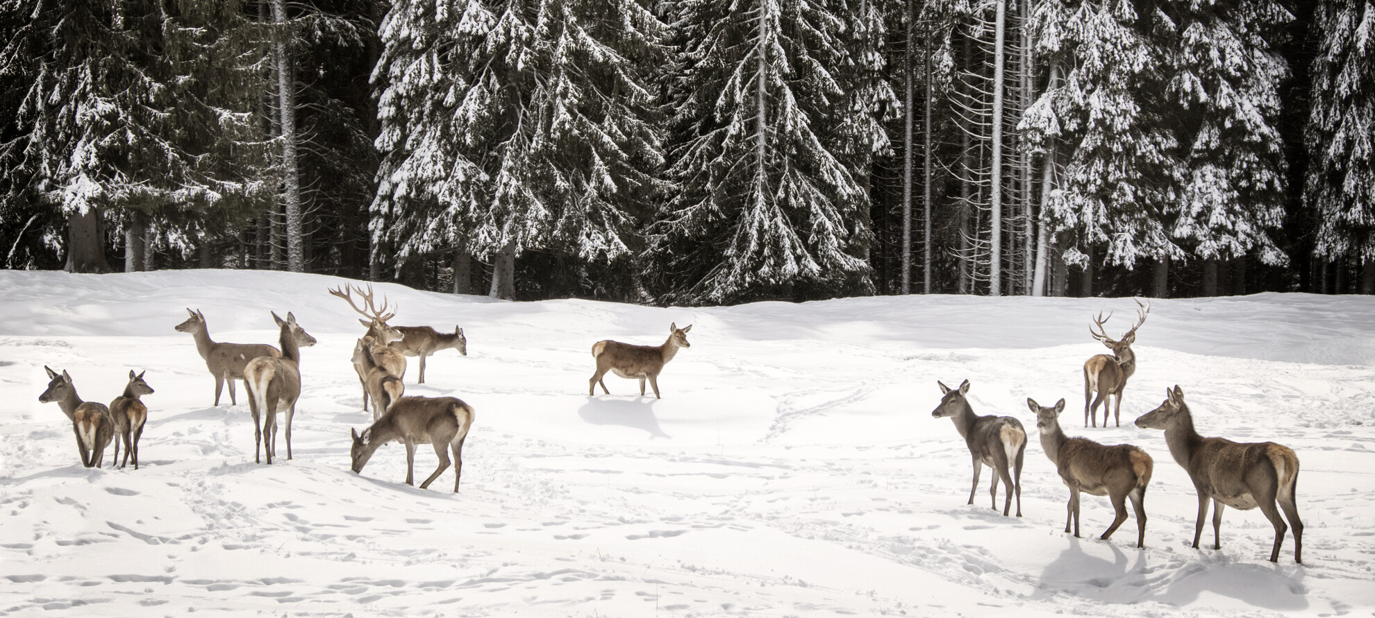 Ein zu bewahrendes Welterbe 