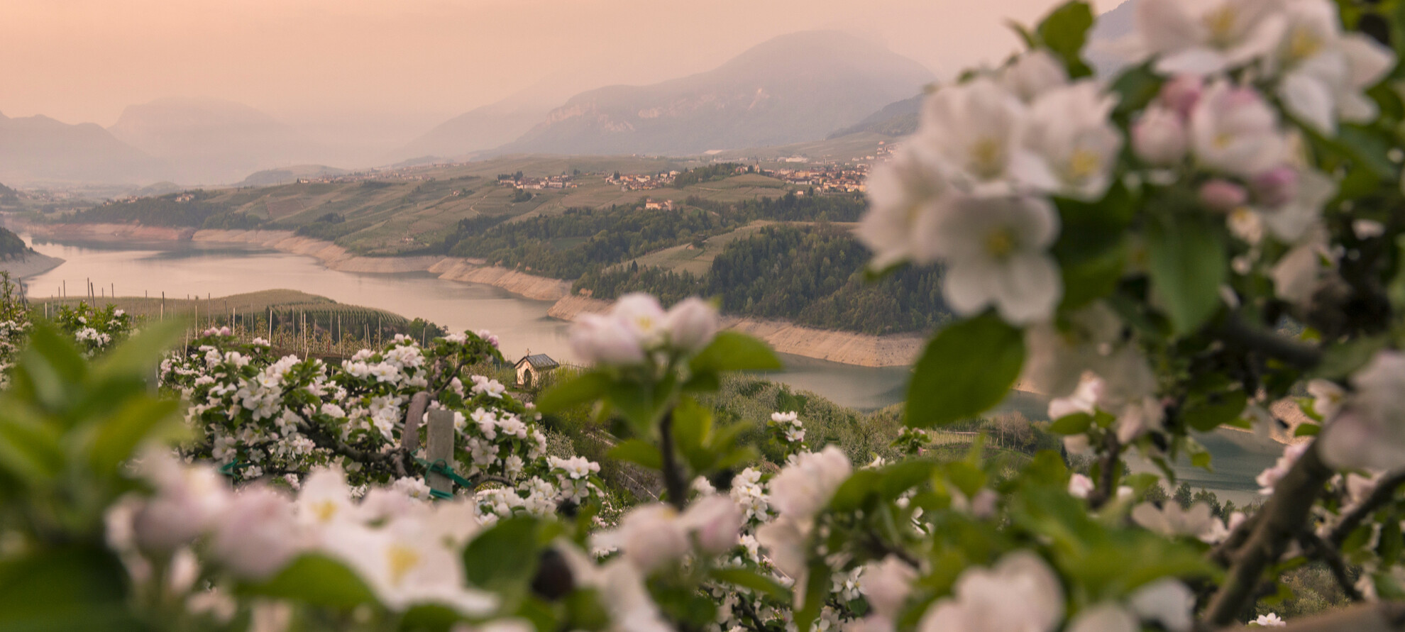Val di Non - Lago di Santa Giustina - Meleti in fiore
