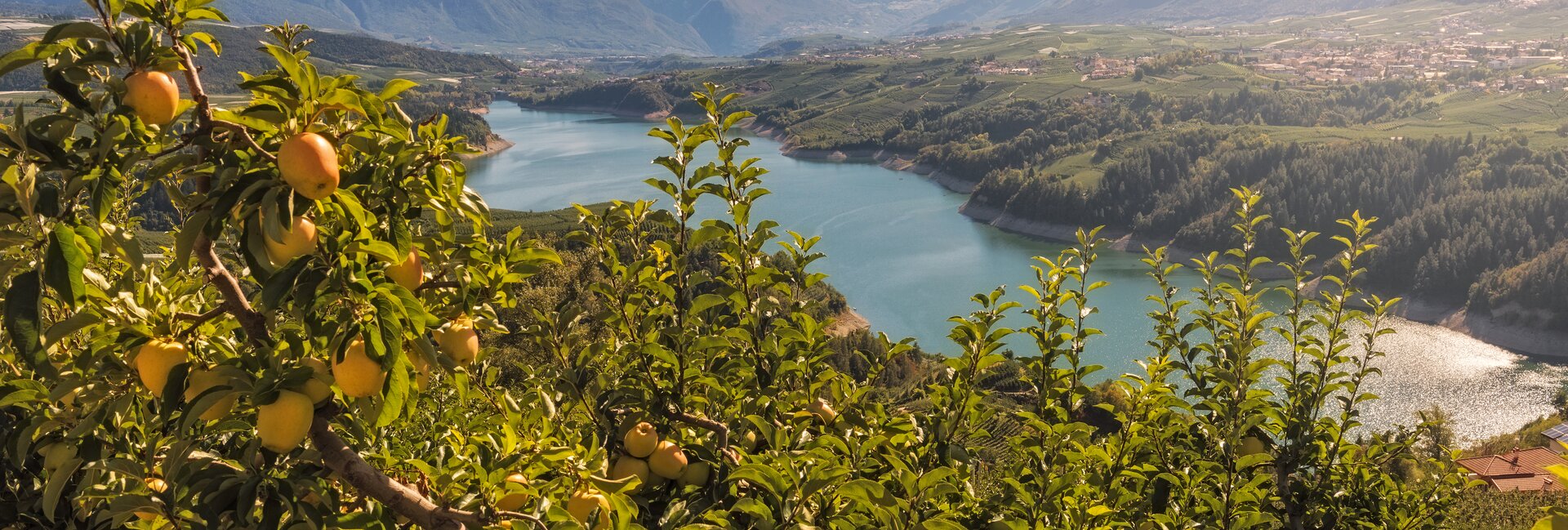 Lake Santa Giustina - The big dam in the valley of canyons