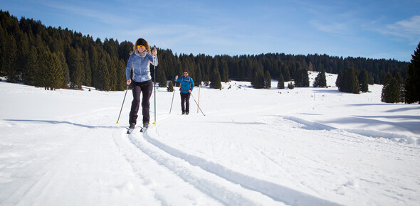 Alpe Cimbra - Luserna - Millegrobbe - Malga Millegrobbe
