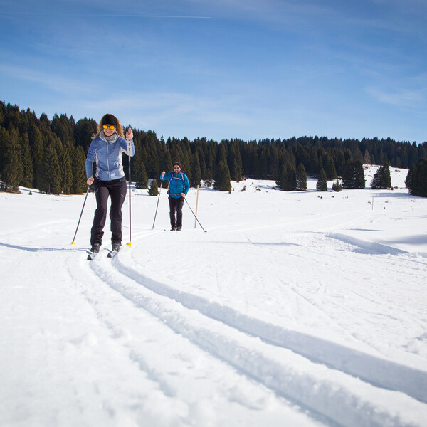 Alpe Cimbra - Luserna - Millegrobbe - Malga Millegrobbe
