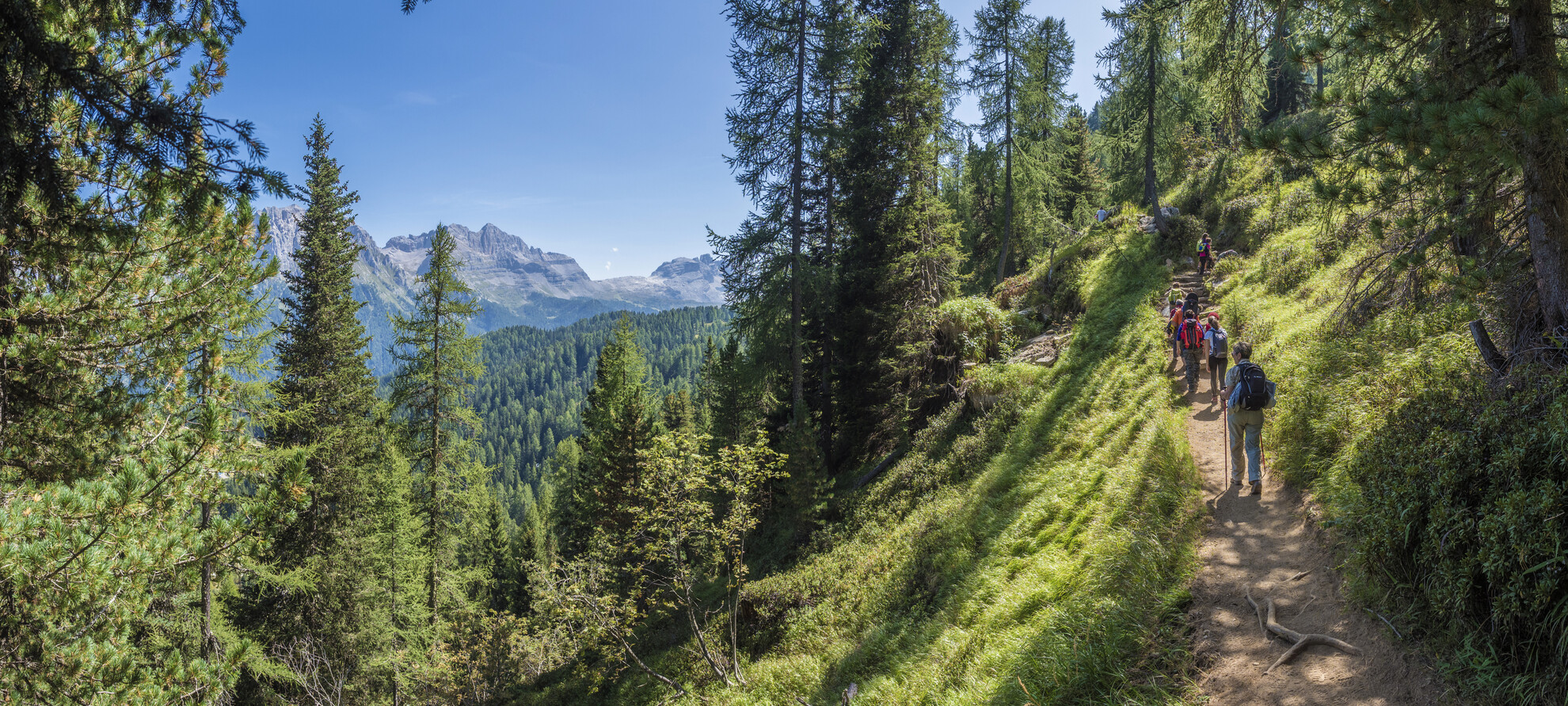 Madonna di Campiglio - Pradalago - Rifugio Viviani Pradalago 
