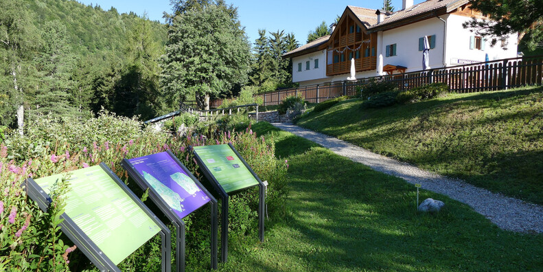 Alpine Botanical Garden, Viote del Monte Bondone