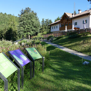Alpine Botanical Garden, Viote del Monte Bondone