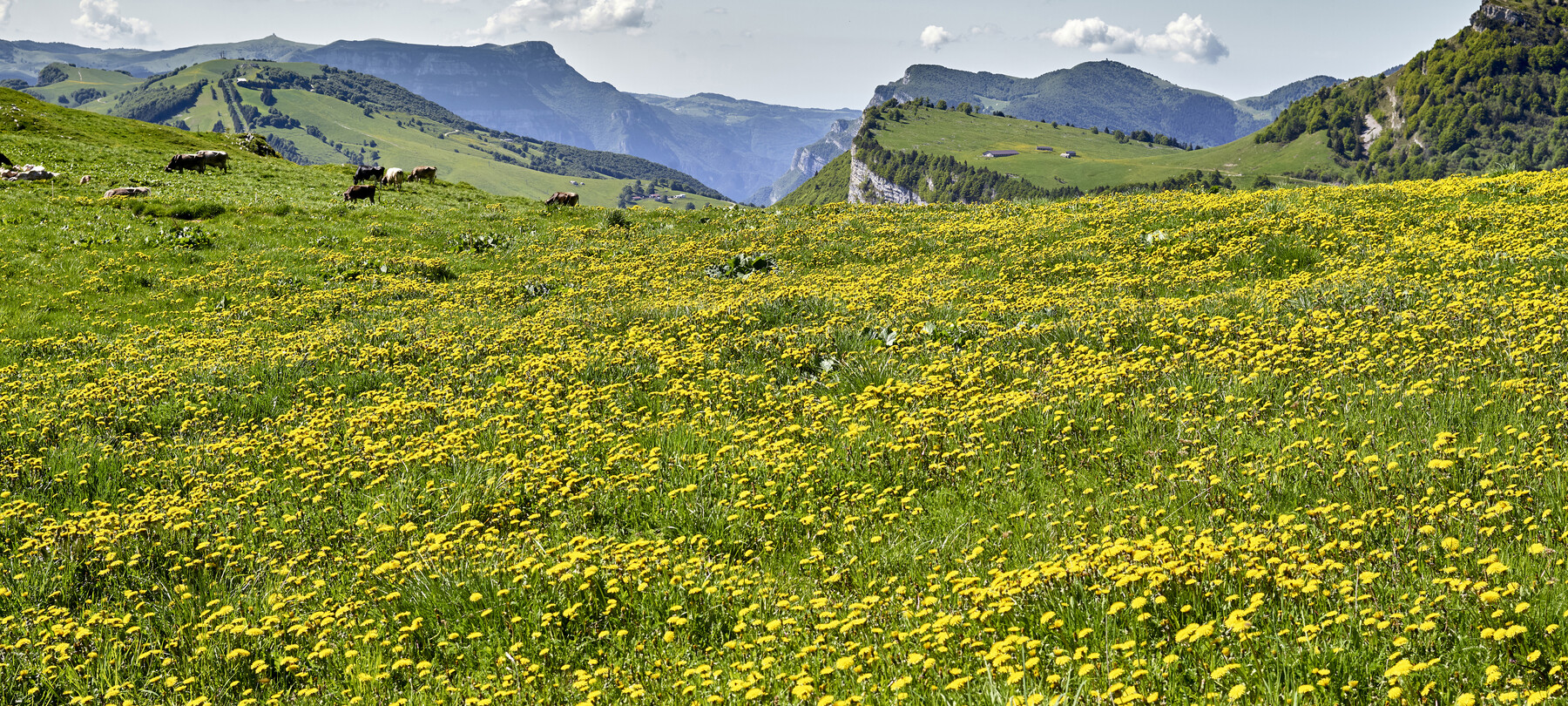 Vallagarina - Monte Baldo