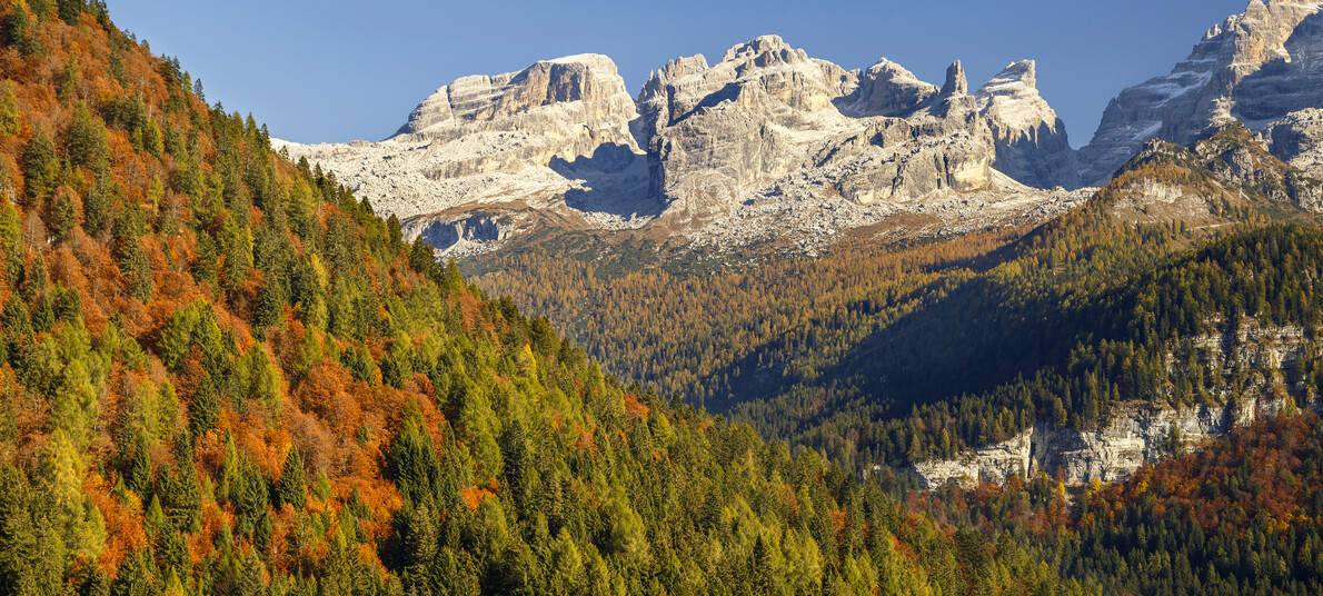 Madonna di Campiglio - Dolomiti di Brenta - Foliage