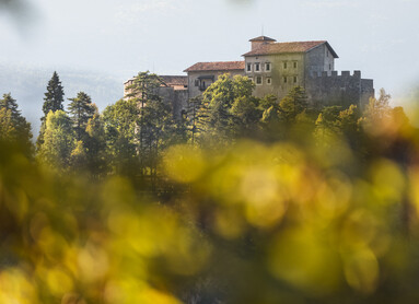 Castello di Stenico. Alcune fila di larici e abeti ne nascondono parzialmente la vista. In primissimo piano, sfocate, foglie che hanno i colori dell’autunno.