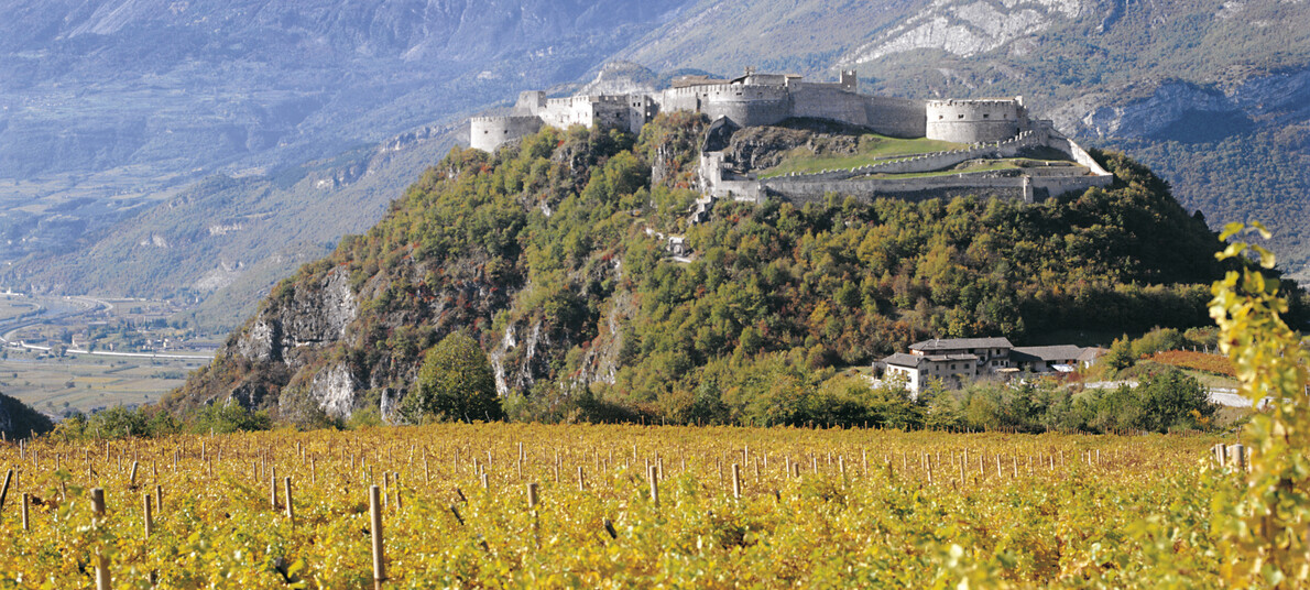 Discovering vineyards and castles on your bike