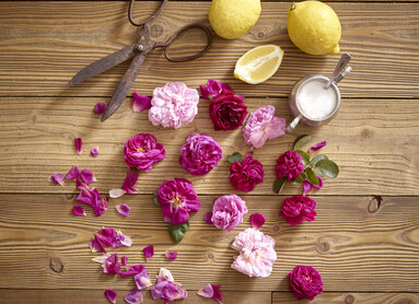 Trentino in un barattolo
