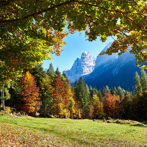 Dolomiti di Brenta - Val Rendena - Dolomiti di Brenta - Foliage