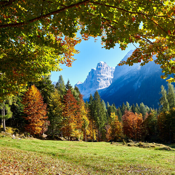 Dolomiti di Brenta - Val Rendena - Dolomiti di Brenta - Foliage
