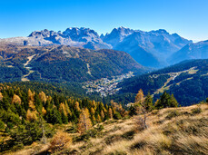 Dolomiti di Brenta - Dolomiti di Brenta - Foliage
