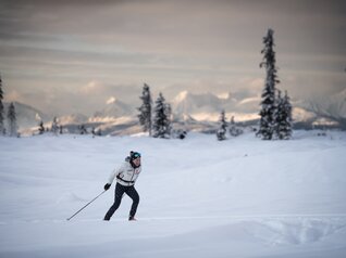 Val di Fiemme - Passo Lavaz?
