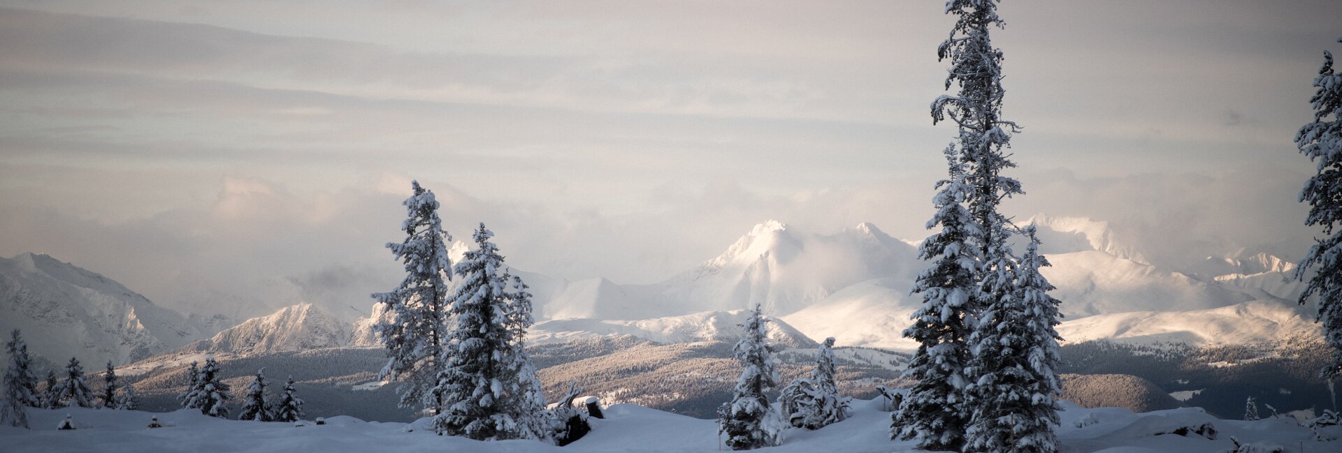 Val di Fiemme - Passo Lavaz?
