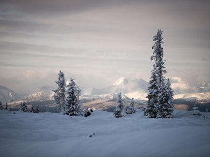 Val di Fiemme - Passo Lavaz?
