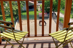 Horse Room - balcone