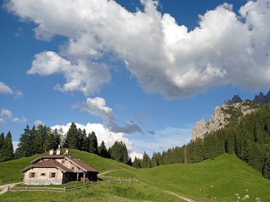 470223212_907050318184337_8991269826447183242_n