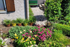 WhatsApp Image 2024-07-30 at 08.58.29