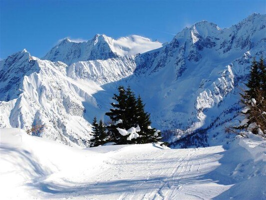 Cima_Presanella_sullo_sfondo