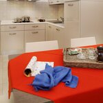  foto van Appartement