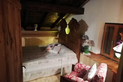 Camere Cerana 021 (3)