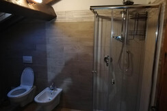 Camere Cerana 020 (5)