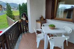 IMG_20240713_113532787_HDR