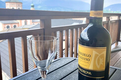 Balcony with mountain view