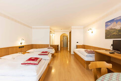 Hotel Arnica Val di Fassa (93)