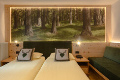 Camera matrimoniale con divano letto singolo