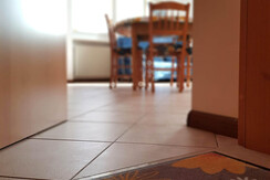 Al Maso Fovo Bilocale_Il Germoglio