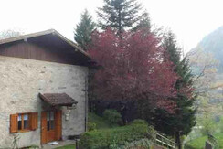 4E0E3CEA-BD72-404E-ADF9-D8F737752D8F