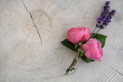 Fior dettaglio stanza Erika