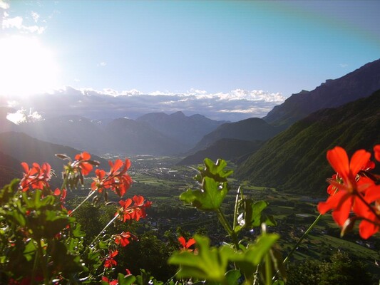 B&B Monte Tesobo al mattino