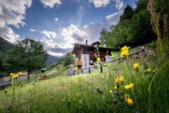 Baita Mas Rabbies, Val di Rabbi, Val di Sole