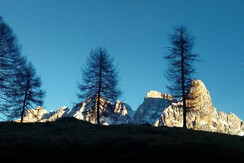 FB_IMG_1481909065949