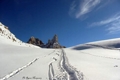 FB_IMG_1481908863724