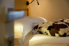 Room Torre di Pisa (Latemar mountain)