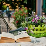  Foto von Apartment Comfort 1 Zimmer BV1