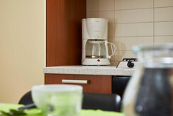 giardino-privato-altstadt-modern-apartment-riva-ga