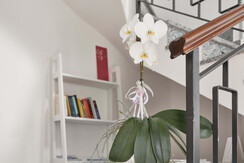 aria-condizionata-möbliert-wifi-riva-garda-136.jpe