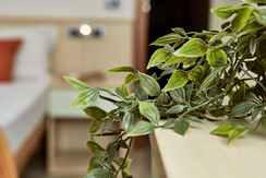 giardino-privato-doppeltzimmer-private-garden-riva