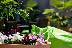 vacanza-ferienwohnung-washing-machine-riva-garda-1