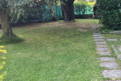 a52b8afb-6980-4547-ba2d-7aa9e832dc8f