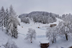 20190203_111358-01 (1)