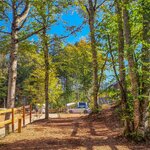  foto van Natuur standplaats