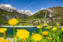 primavera-a-molveno,1853