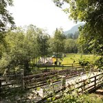 Foto di Piazzola Eventi